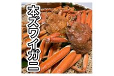 【11月順次発送】【訳あり】浜茹で 本ズワイガニ 足欠「雄ガニ 3杯（約900g）」1043007 蟹 かに ずわい蟹 ズワイガニ
