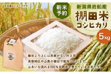 【新米受付・令和7年産米】新潟県村上市岩船産 棚田米コシヒカリ5kg NA4038 