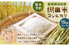 【新米受付・令和7年産米】新潟県村上市岩船産 棚田米コシヒカリ15kg（5kg×3袋）NC4017 