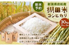 【新米受付・令和7年産米】新潟県村上市岩船産 棚田米コシヒカリ30kg（10kg×3袋）ND4016 
