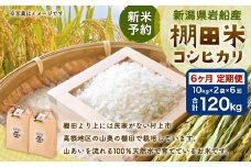 【新米受付・令和7年産米】新潟県村上市岩船産  棚田米コシヒカリ20kg×6ヶ月お届け NF4009　定期便 毎月 新米予約 お米 白米 こしひかり 精米 村上市