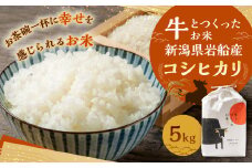 【新米受付・令和7年産米】牛とつくったお米  新潟県村上市岩船産 コシヒカリ 精米 5kg 1041001N　
