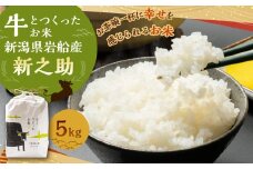 【新米受付・令和7年産米】牛とつくったお米 新潟県 村上市 岩船産 新之助 精米 5kg 1041002N
