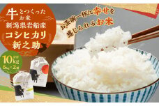 【新米受付・令和7年産米】牛とつくったお米 新潟県村上市岩船産 コシヒカリ 5kg・新之助 5kg 精米 計10kg 1041006N
