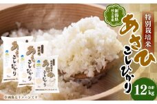 B4029 【令和6年産米】新潟県村上市産 特別栽培米 コシヒカリ 12kg