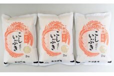 【令和7年産米】 こしいぶき 白米6kg（2kg×3） 新潟県村上市岩船産　1067102