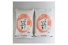 【令和7年産米】 こしいぶき 白米10kg（5kg×2） 新潟県村上市岩船産　1067103