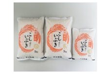【令和7年産米】 こしいぶき 白米12kg（5kg×2、2kg×1） 新潟県村上市岩船産　1067104