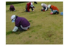 燕市シルバー人材センター利用サービス(庭の草取りサービス 15～20坪程度) FC050039