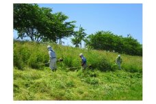 燕市シルバー人材センター利用サービス(空き地の草刈りサービス 100坪まで) FC034008