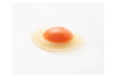 【リピート御礼】抜群に美味しい!!濃厚たまご!!アスタ卵(定期便月1回×12回発送) FCCS144002