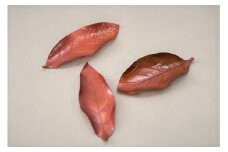 木の葉の箸置きLセット 3個入り(桐箱入り) FC016215