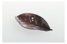 箸置き「木の葉」COPPER RED FC024022