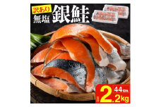 【訳あり】銀鮭切身 (打ち身、色飛び、カマ入) 無塩タイプ 味付け無し 約2.2kg FC012247