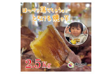 焼き芋屋ぴーすの熟成冷凍焼き芋 2.5kg FC014036