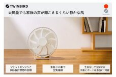 ツインバード サーキュレーター (KJ-D783W)