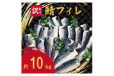 【訳あり】サバフィレ 10kg FC030090
