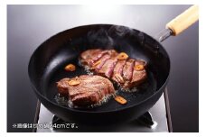 匠 マグマプレート加工 フライパン24cm FC010389