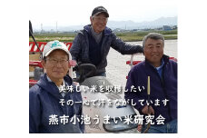 【令和7年産】おかずのいらないコシヒカリ「つばめ返し」白米8kg FC022086