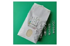 【令和7年産】大粒で甘味とうま味が際立つ「いのちの壱」白米5kg FC018007