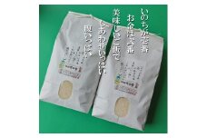 【令和7年産】大粒で甘味とうま味が際立つ「いのちの壱」白米10kg FC033018