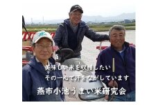 【令和7年産】おかずのいらないコシヒカリ「つばめ返し」白米20kg FC053003
