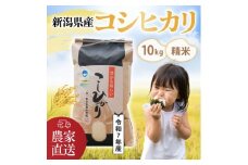 【令和7年産・コシヒカリ】南波農園の特別なお米 精米10kg／新潟県燕市産 FC024007