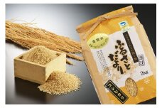 【令和7年産】『定期便』日本一おいしい米コンテスト金賞受賞 早川農興コシヒカリ 玄米10kg × 3か月 FC084011
