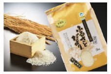 【令和7年産】新潟産『コシヒカリ』日本一おいしい米コンテスト金賞受賞 早川農興 白米10kg FC028039