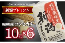 【令和7年産】『定期便』新潟プレミアム 特別栽培米 コシヒカリ 白米10kg × 6か月 FC185004