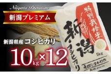 【令和7年産】『定期便』新潟プレミアム 特別栽培米 コシヒカリ 白米10kg × 12か月 FC369001