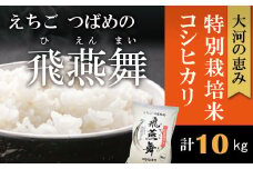 令和7年産 厳選コシヒカリ えちごつばめの飛燕舞 白米10kg FC023027
