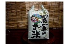 令和6年産新米 新潟県糸魚川産コシヒカリ 5kg 農家直送 美味しいお米をお届けします! 大山農場 2024年産【米 コメ ブランド米 こしひかり ご飯 ライス ふるさと納税米 お弁当 おにぎり 5キロ 精米 食品】