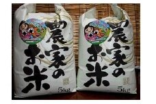 令和6年産新米 新潟県糸魚川産コシヒカリ 10kg 農家直送 美味しいお米をお届けします! 2024年産 大山農場【米 お米 コメ ブランド米 ご飯 ライス ふるさと納税米 こしひかり お弁当 おにぎり 10キロ 精米 食品 】