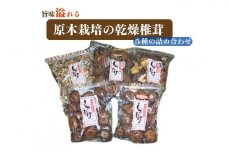 原木栽培の乾燥椎茸５種の詰め合わせ（どんこ 小粒どんこ こうしん スライス 得用）【新潟県 糸魚川 しいたけ シイタケ 冬菇 香信】 