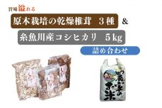厳選！糸魚川産コシヒカリ 5kg と 乾燥椎茸３種の詰め合わせ（どんこ こうしん スライス）大山農場【2024年産 令和6年産新米 新潟県 糸魚川 しいたけ シイタケ 冬菇 香信 こしひかり セット 米 お米 コメ ブランド米 ご飯 ライス ふるさと納税米 お弁当 おにぎり 5キロ 精米 食品】