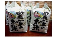 令和6年産新米 新潟県糸魚川産コシヒカリ 20kg 農家直送 美味しいお米をお届けします！2024年産 大山農場【米 お米 コメ こしひかり ブランド米 ご飯 ライス ふるさと納税米 お弁当 おにぎり 20キロ 精米 食品】