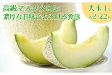 【先行予約】9月にお届け！高級マスクメロン 1玉 2～2.2kg程度 濃厚な甘みととろける食感 リピーター多数 完熟 アールスメロン 大玉 青肉 50セット限定 農家直送 糖度15度以上 フルーツ 旬 甘い ギフト 人気 産直