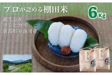 令和6年産新米 新潟県能生谷産コシヒカリ 6kg（3kg×2袋）プロも認める棚田米【米 こしひかり お米 白米 コメ 米 ブランド米 ご飯 ライス ふるさと納税米 お弁当 おにぎり 6キロ 精米 食品 棚田 糸魚川 新潟 】