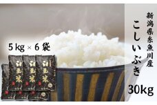 令和6年産新米予約 新潟県産こしいぶき『臼玉米』30kg 2024年産 木島米穀店【米 お米 白米 こめ コメ コシイブキ ブランド米 ご飯 ライス ふるさと納税米 お弁当 おにぎり 30キロ 精米 食品 新潟県 糸魚川産 2024年産 食品 人気 おすすめ 先行予約】