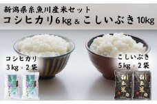 【1月以降出荷予定】令和6年産新米 新潟県産『コシヒカリ』6kgと『こしいぶき』10kgのセット 糸魚川産 美味しいお米の食べ比べ 白米 木島米穀店 2024年産【米 お米 コメ こしひかり コシイブキ ブランド米 ご飯 ライス ふるさと納税米 お弁当 おにぎり 精米 食品 食品 おすすめ 人気 新潟県 糸魚川市】