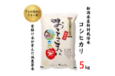 令和6年産新米予約 新潟県産 コシヒカリ 5kg 特別栽培米『おててこ米』農家直送 100％根知谷産 専門家お墨付き 2024年産【糸魚川市 白米 減農薬 こしひかり コメ お米 ご飯 ライス ブランド米 おにぎり ふるさと納税米 5キロ 先行予約】