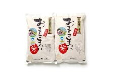 令和6年産新米予約 新潟県産 コシヒカリ 10kg（5kg×2袋） 特別栽培米『おててこ米』農家直送 100％根知谷産 専門家お墨付き 2024年産【糸魚川市 白米 減農薬 こしひかり コメ お米 ご飯 ライス ブランド米 おにぎり ふるさと納税米 10キロ 先行予約】