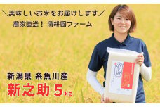 「10月下旬より順次発送」令和7年産 新米予約 米 新之助 5kg 農家直送 真空パック 清耕園ファーム 新潟県 糸魚川産 しんのすけ ギフトにも 白米【数量限定 米 お米 コメ ご飯 ライス ふるさと納税米 5キロ 糸魚川 新潟 令和7年 2025年産 新潟県の新しいブランド米】