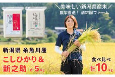 【令和6年産新米予約】新之助・コシヒカリ 10kg (5kg×2袋) 美味しいお米の食べ比べ 清耕園ファーム 農家直送 ひすいの雫 新潟県産 糸魚川 2024年産 白米 保存に便利 真空パック 【新潟米 米 こめ こしひかり ご飯 ライス しんのすけ お弁当 おにぎり にも最適です お米 米 食べ比べ ギフト】