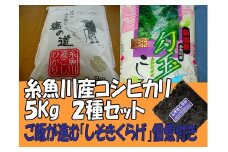 ぬながわの里のコシヒカリ米 5㎏ 2種セット（ご飯がすすむ「しそきくらげ」２袋付き）米 お米 コメ ブランド米 ご飯 ライス ふるさと納税米 お弁当 おにぎり 精米 こしひかり 食べ比べ 食品 