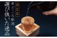 特選日本酒頒布会【お試し】1,800ML×1本 地酒 飲み比べ 新潟 糸魚川 一升瓶（純米 加賀の井 謙信 月不見の池 根地男山 雪鶴 ふるさと納税限定 無濾過 生酒）
