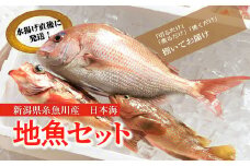 プロが選んだ！魚屋の鮮魚詰め合わせ（刺身用１種と塩焼・煮付用下処理済各１匹づつ）朝どれ 鮮魚ボックス アジ 鯛 メバル 鮮魚セット