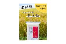 令和6年産新米予約【定期便】新之助 10kg×6回 計60㎏（隔月お届け） 令和6年産 米・食味鑑定士お墨付き 新潟県糸魚川産 保管に便利 真空パック 清耕園ファーム 10月下旬出荷予定【白米 精米 しんのすけ ご飯 ライス 米 お米 こめ おこめ コメ】