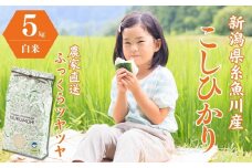 【令和6年産新米予約】米 新潟県産『コシヒカリ』5kg 米・食味鑑定士お墨付き 農家自慢の逸品 "NUKUMORI" 特別栽培米 減農薬 糸魚川市 白米【こしひかり お米 こめ ご飯 ライス ふるさと納税米 食品 人気 おすすめ 5キロ 新潟県 2024】